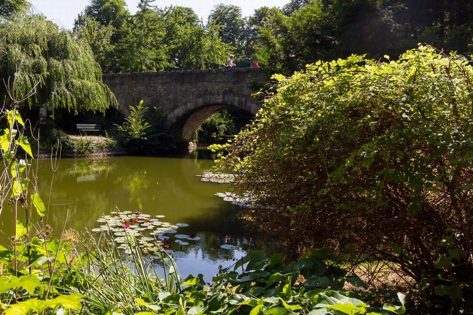 Würzburg Burkader See