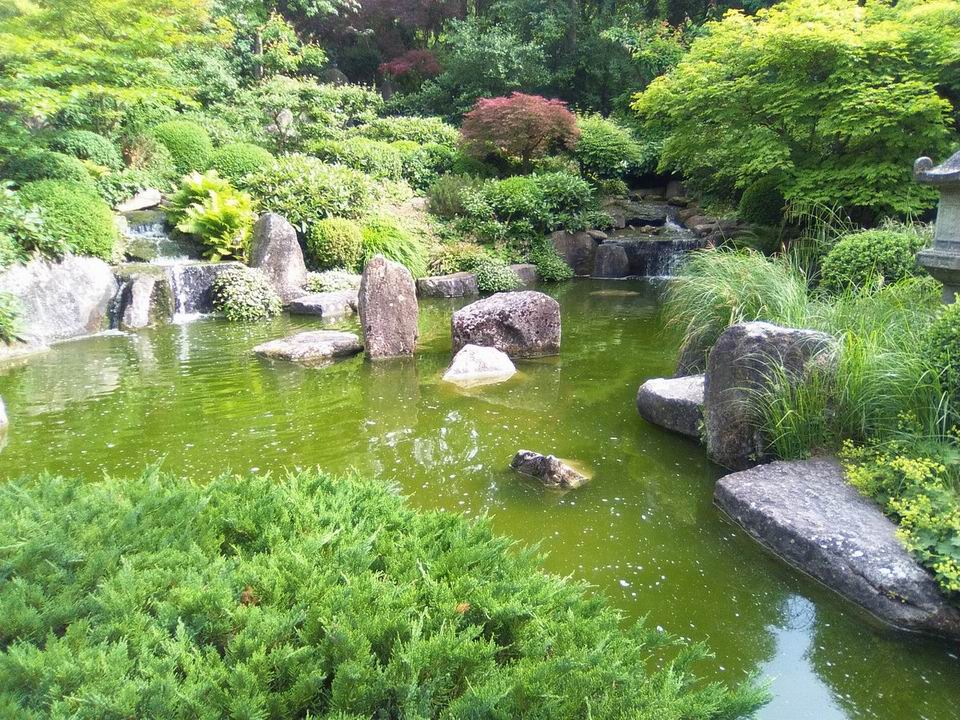 würzburg japanischer garten